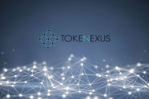 Обзор криптообменника Tokenexus — покупка и продажа bitcoin